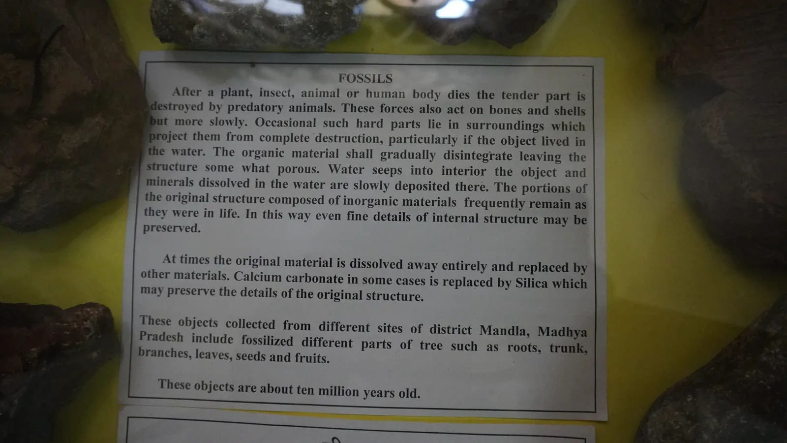 The museum's board explaining the fossils are about ten million years old, from Mandla district