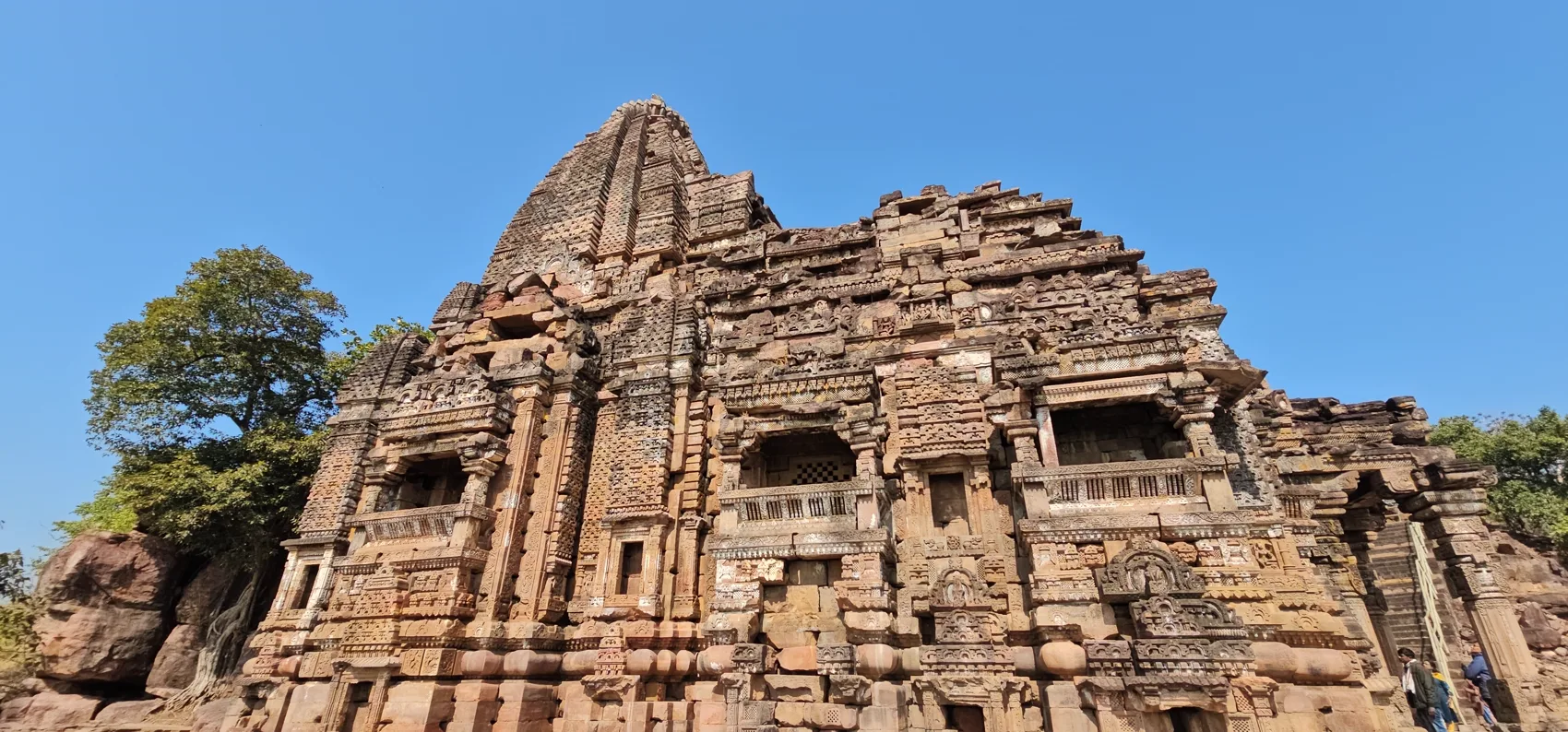 The richly carved facade and shikhara of the Maladevi Temple, Gyaraspur