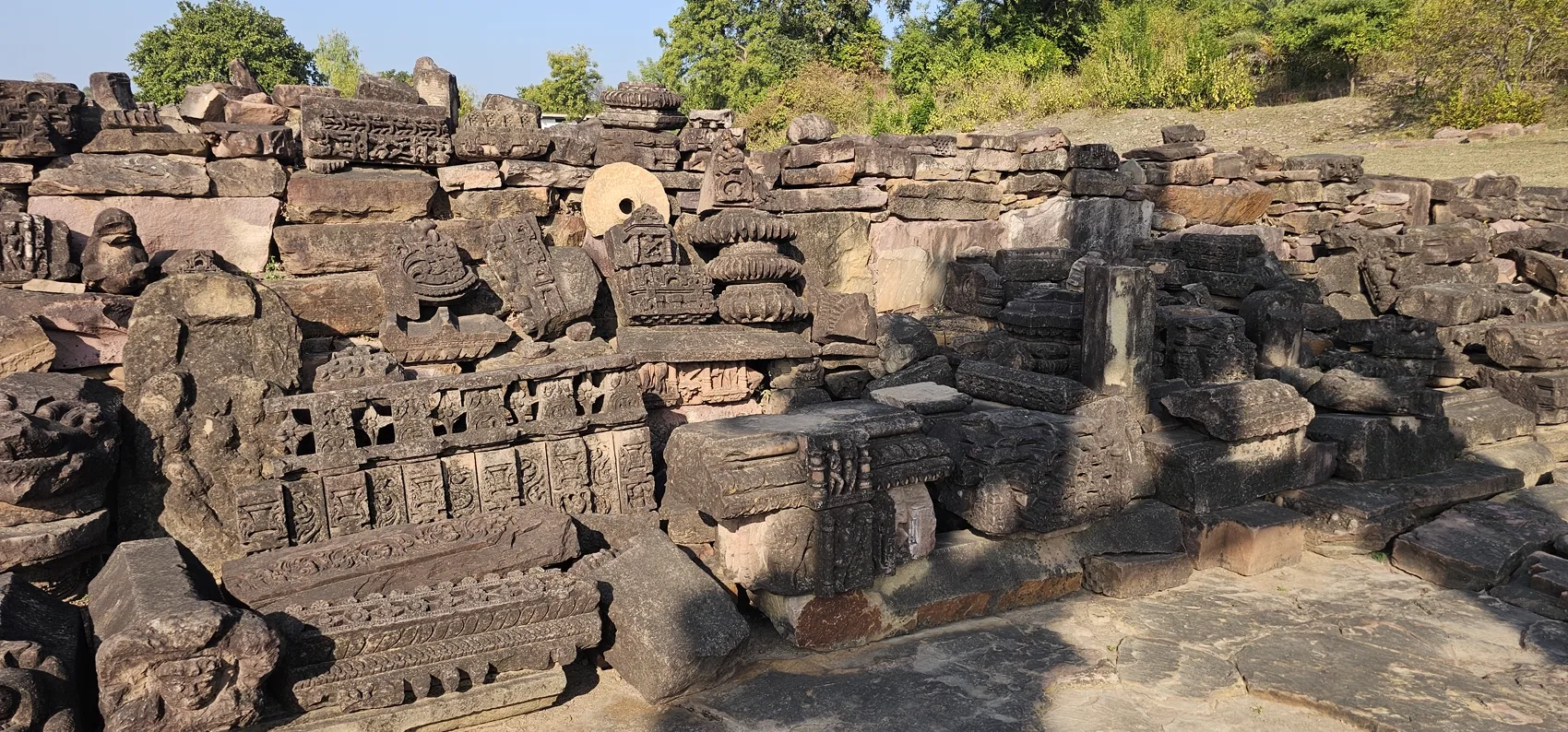 Carved stone fragments scattered among the Gyaraspur ruins