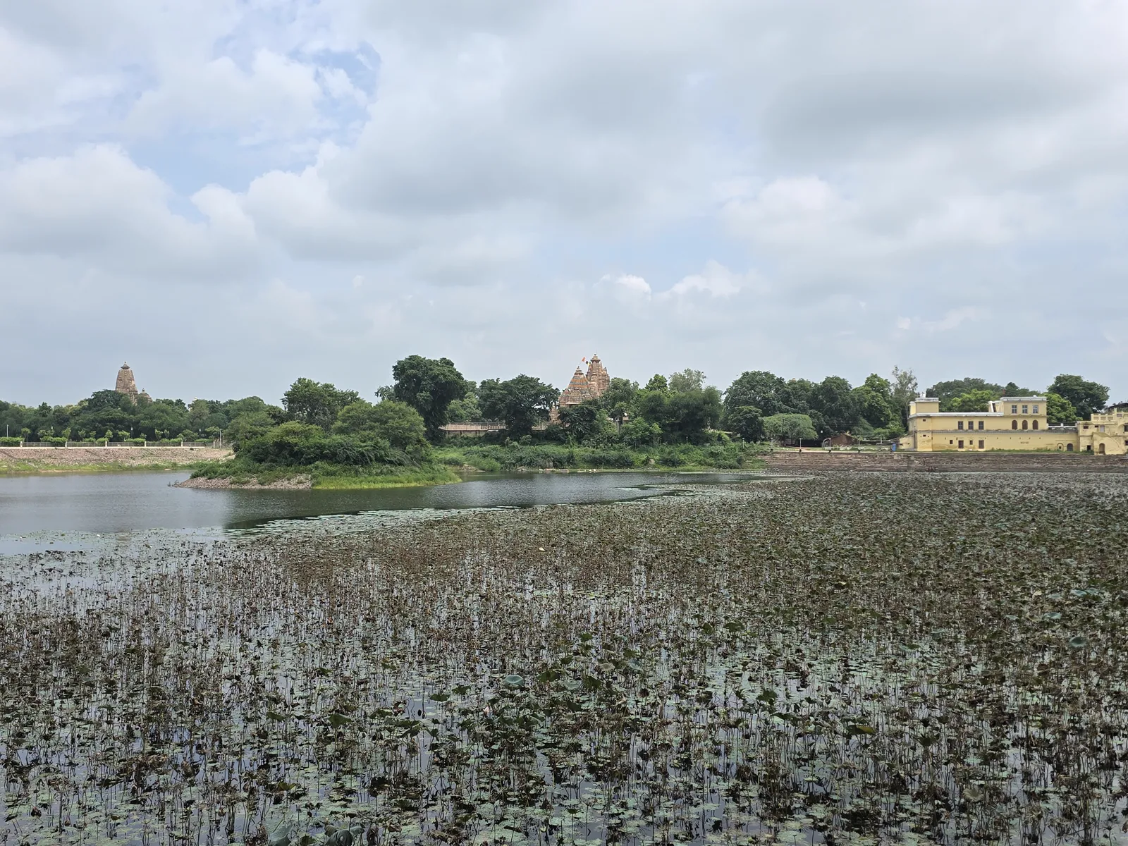 Lotus flowers covering the surface of Shivsagar lake below the Chausath Yogini temple