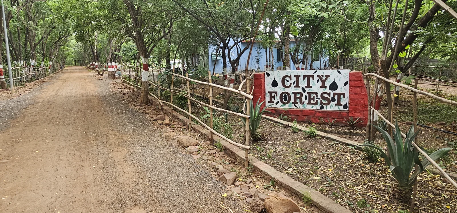 A CITY FOREST banner on a rustic fence beside the murram road at Laharpur
