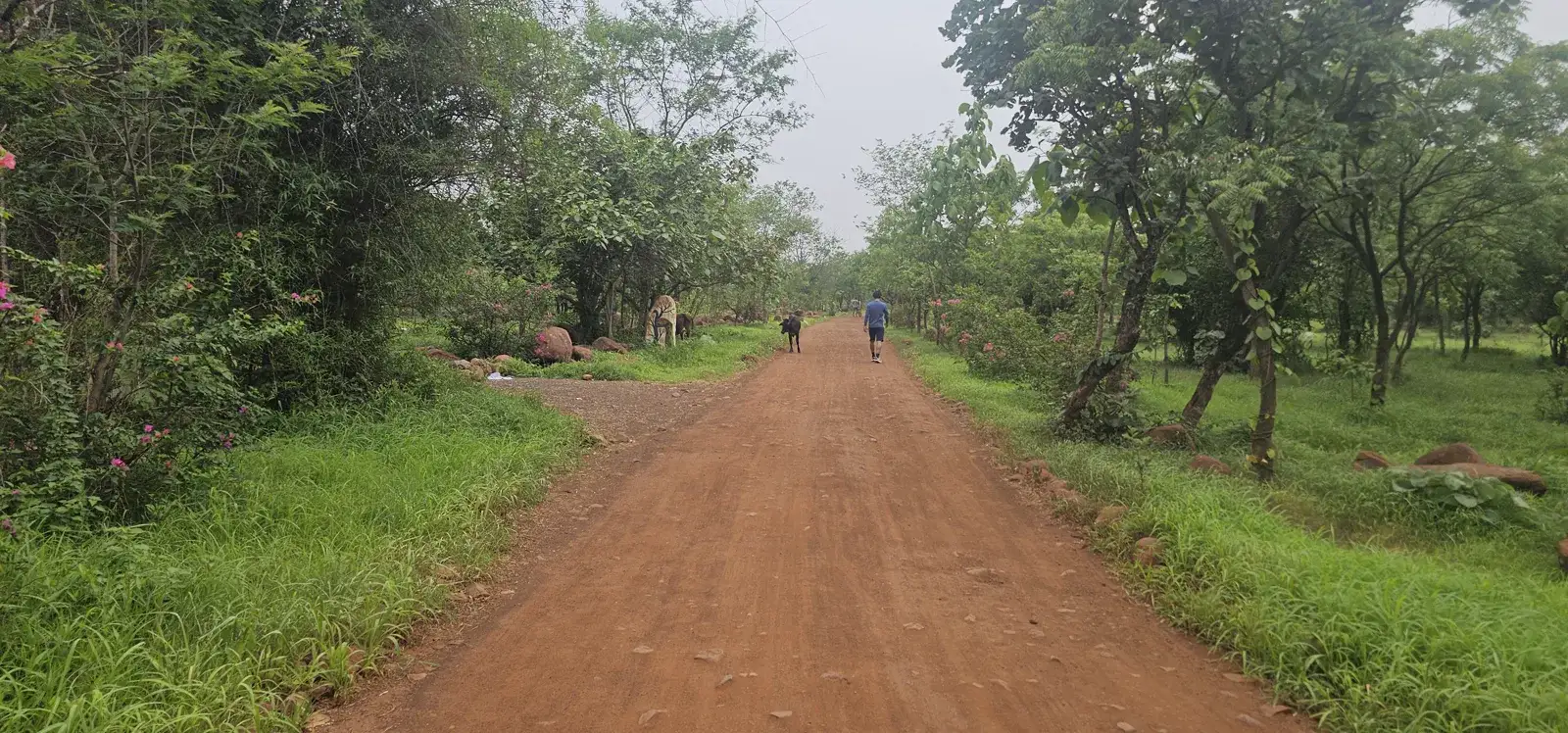 Laharpur Ecological Park: Bhopal's City Forest