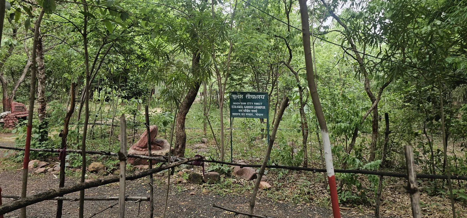 A hazy monsoon view over green treetops toward the Bhopal skyline from the Laharpur hilltop