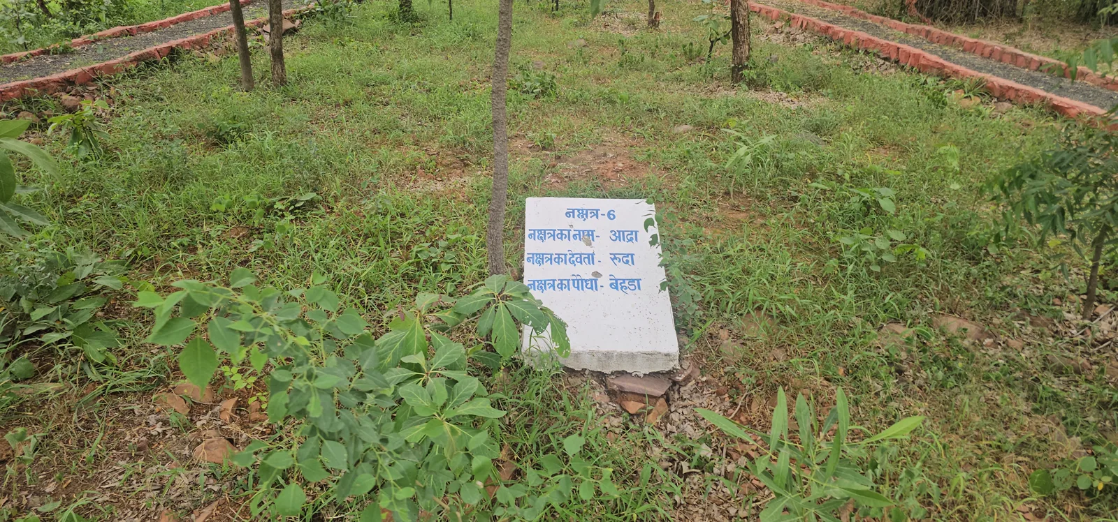 A small plaque marking a plantation block inside Laharpur Ecological Park