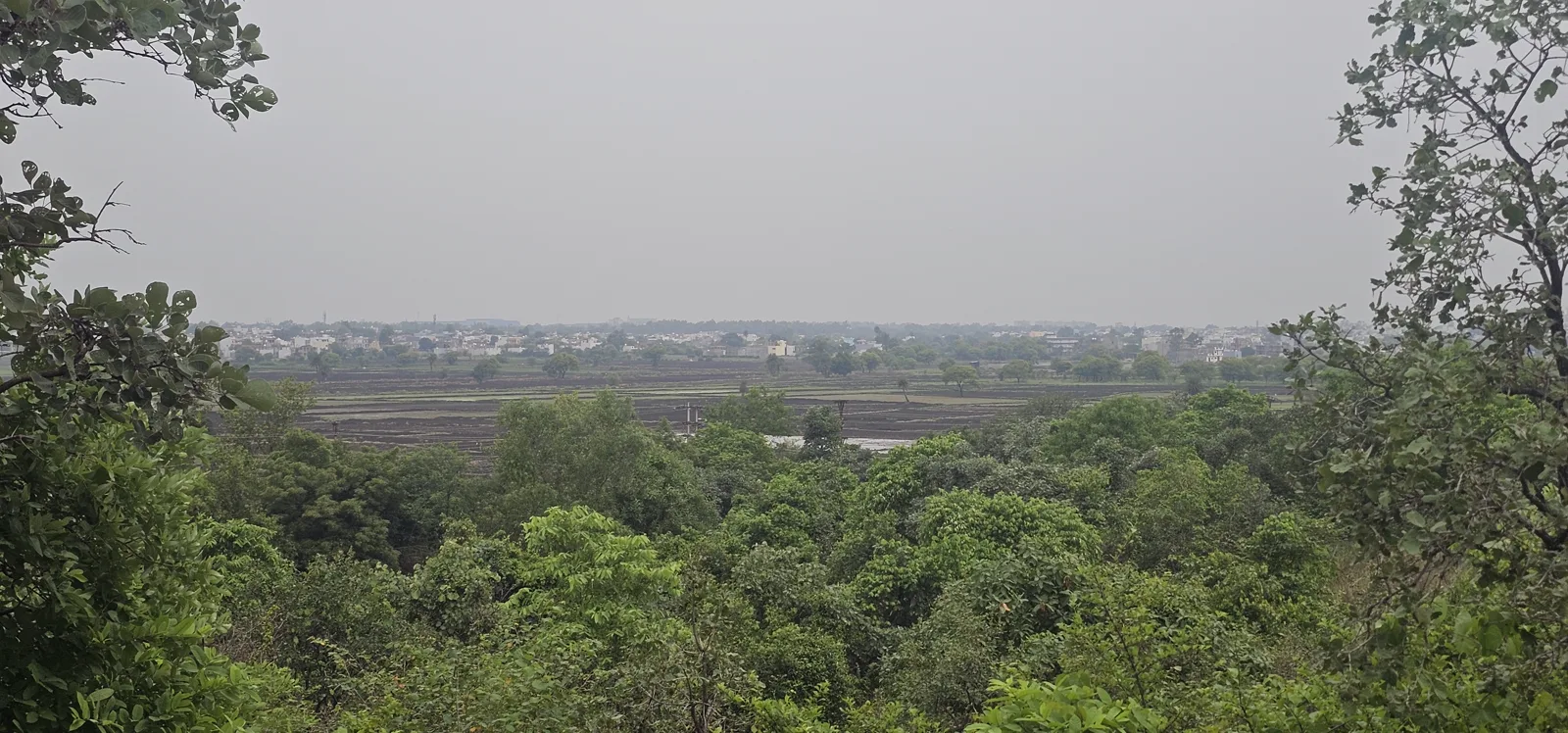 A wide green valley view from the Laharpur hilltop in the monsoon