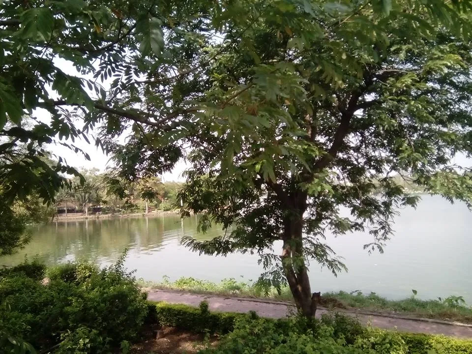 Chhota Talaab waterfront, Bhopal