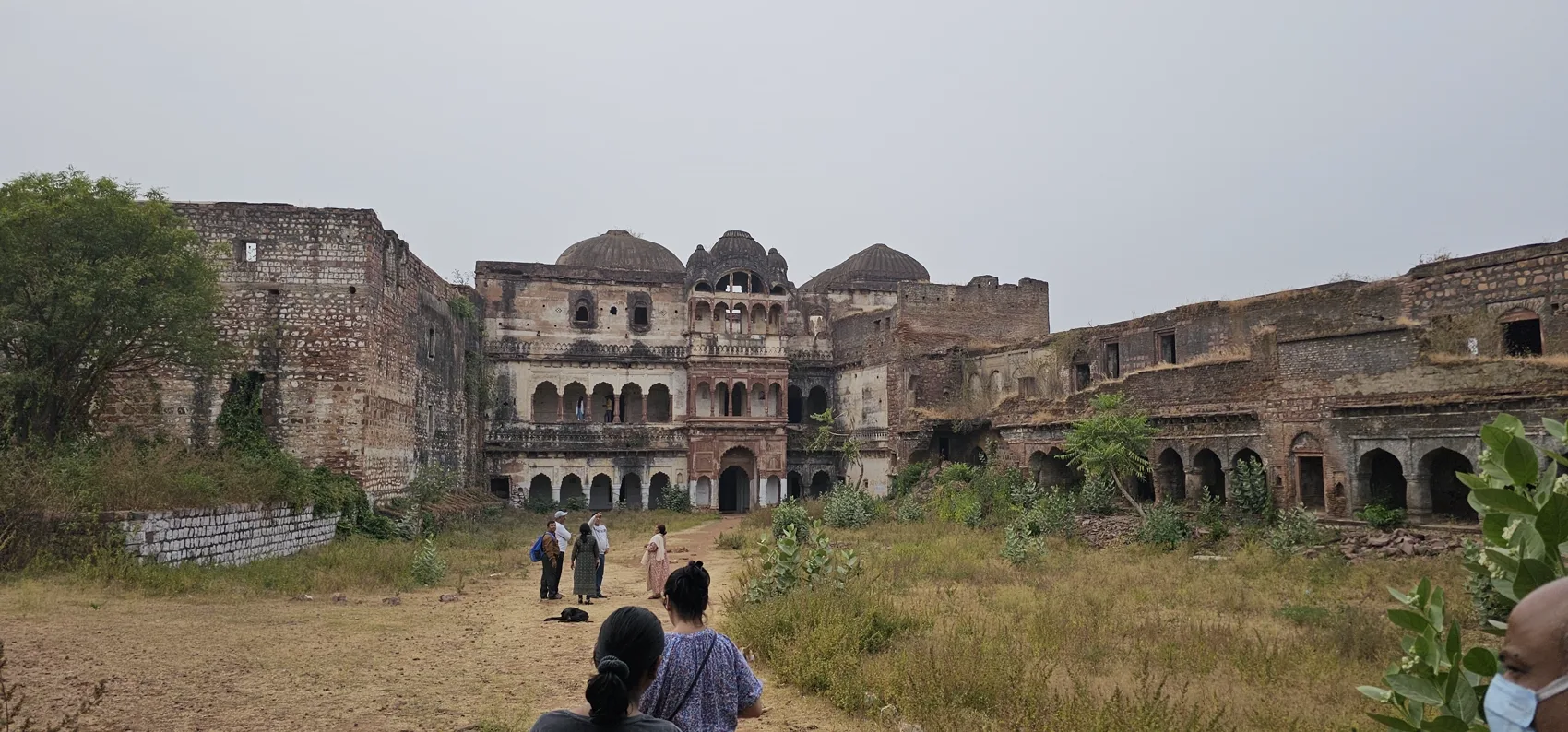 The ruined palace facades around an overgrown courtyard