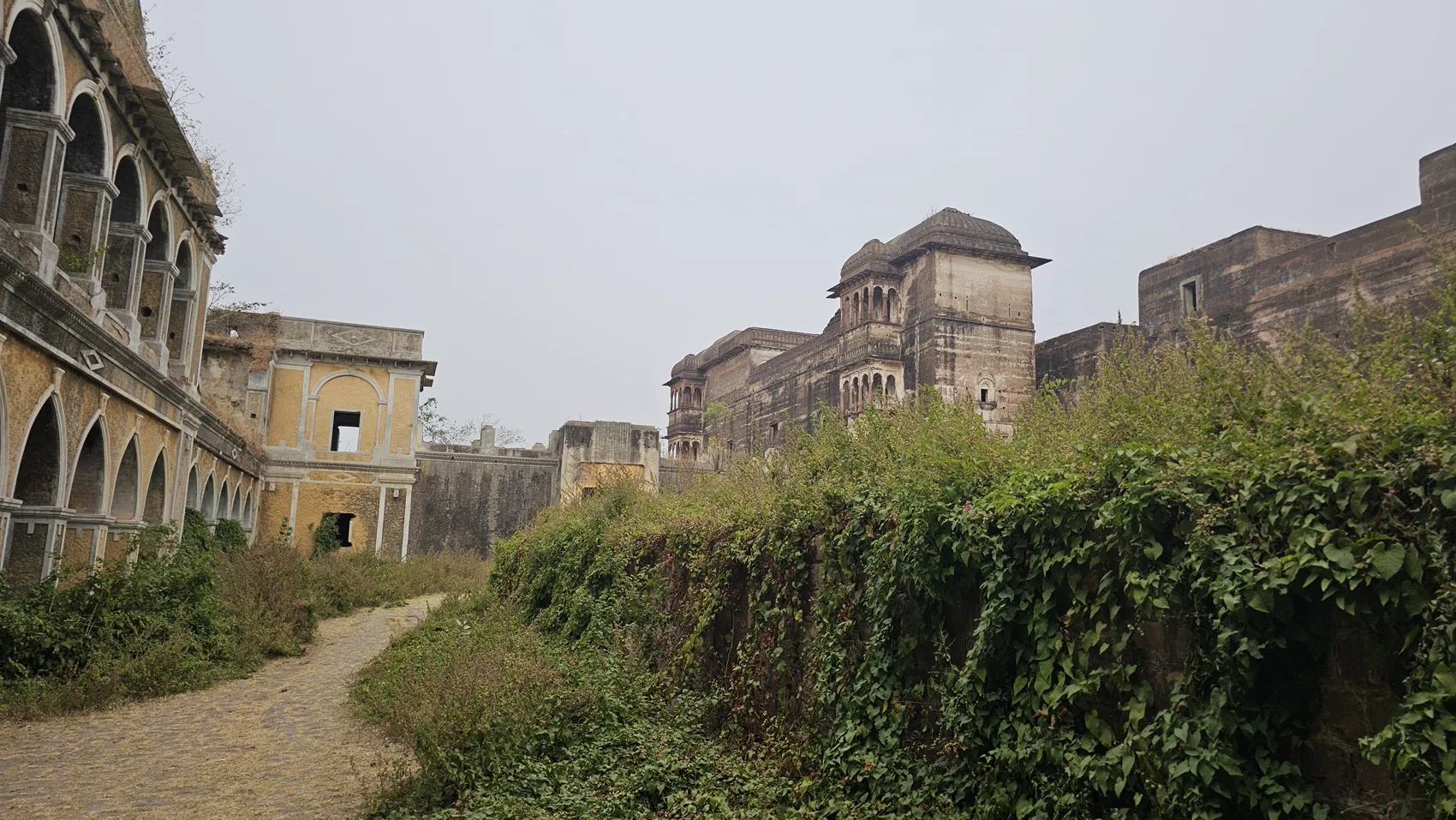 Overgrown, crumbling palace wings at Narsinghgarh