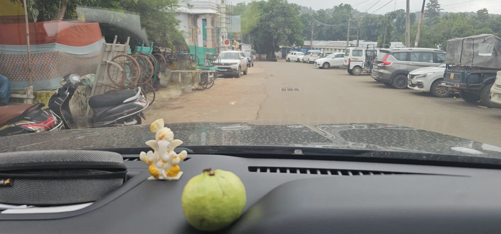 Fresh green guavas bought on the roadside while leaving Pachmarhi