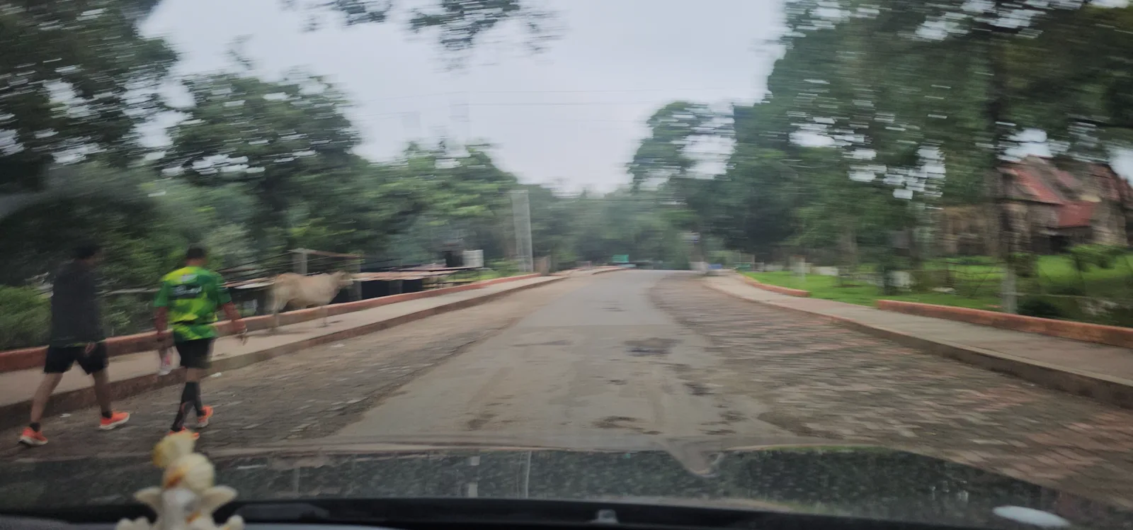 A runner walking through the misty Pachmarhi cantonment roads at dawn on marathon morning