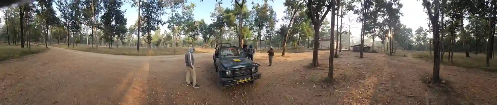 A teak and sal forest track in Pench Tiger Reserve at dawn