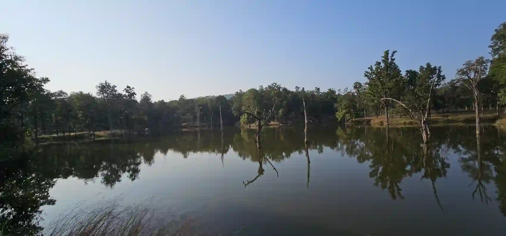 A wide, calm lake ringed by forest inside Pench Tiger Reserve