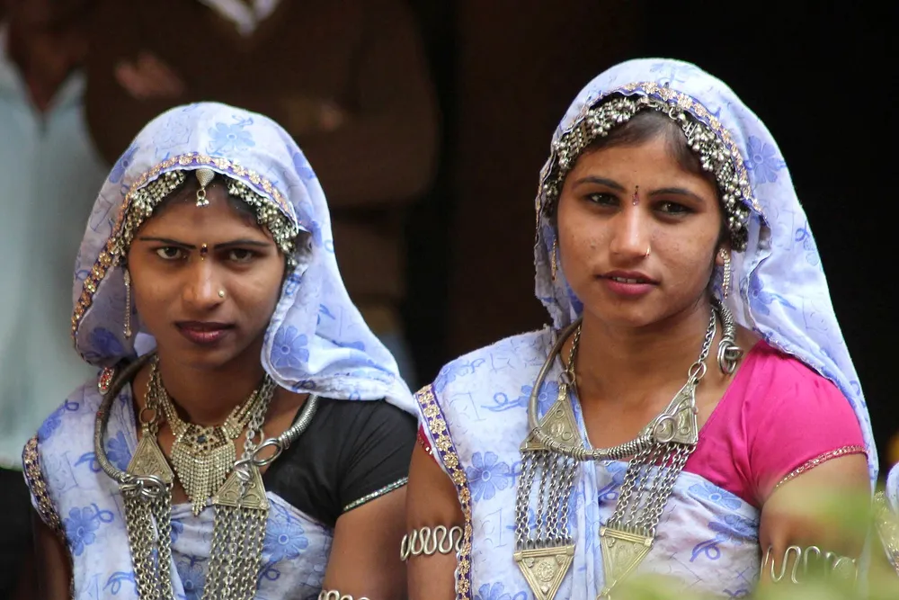 Gallery exhibit at the Madhya Pradesh Tribal Museum